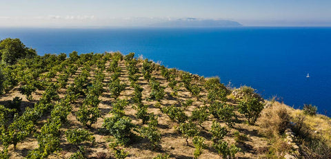 Griechische Inselweine Vol. 3: Kefalonia – der unverwechselbare Charakter der lokalen autochthonen Rebsorten!