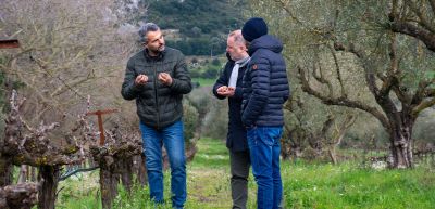 Unser Weingut des Monats Mai: Sant’Or Wines