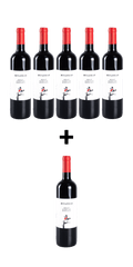 src:https://www.mygreekwine.de/media/72/09/f7/1701789389/5+1 aktion-merlot-agiorgitiko-mylonas-attiki.png
