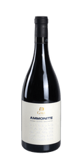 src:https://www.mygreekwine.de/media/c2/d0/3d/1725978993/ammonite-assyrtiko-gaia estate-etikett-vorne.png