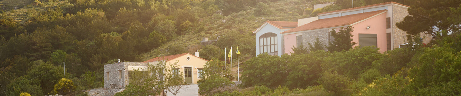 Ariousios Winery