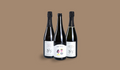 Schaumwein Weinpaket