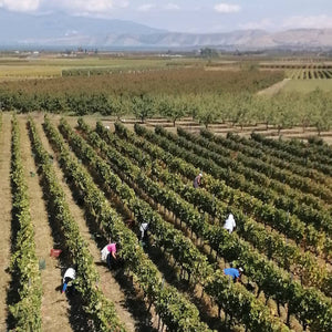 Domaine Karanika