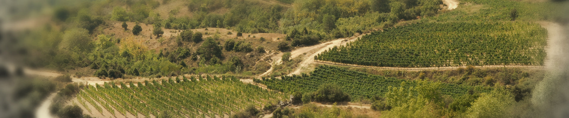 Domaine Katsaros