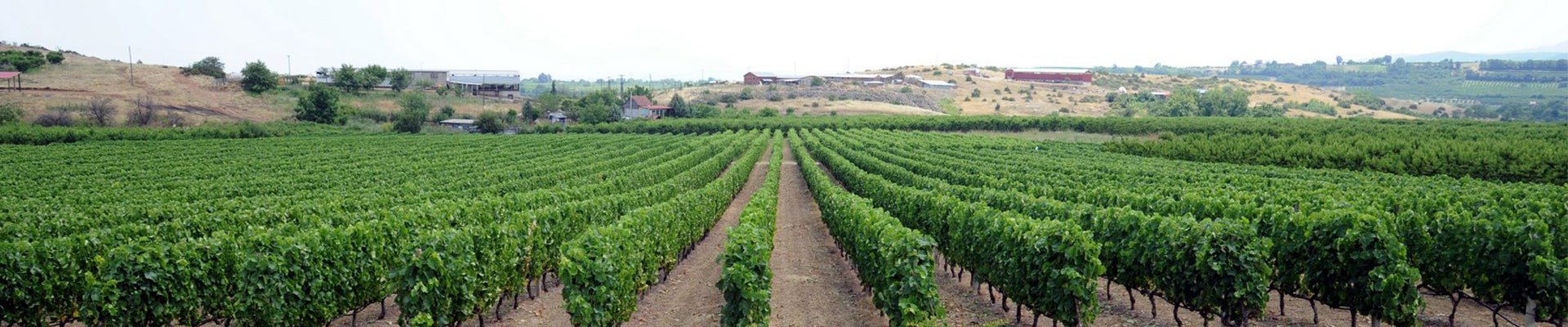Foundis Estate