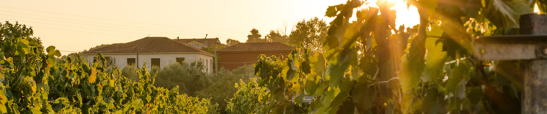 Grampsas Winery
