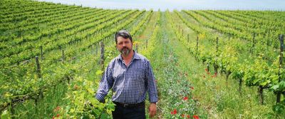 Kamara Winery