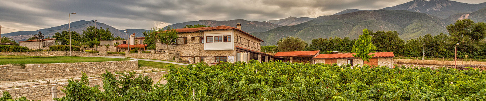 Kamkoutis Vineyards