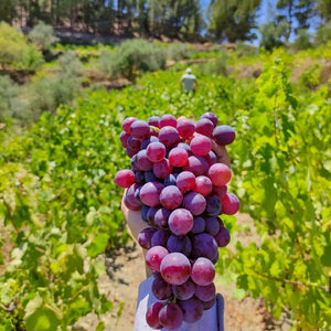 Karimalis Winery
