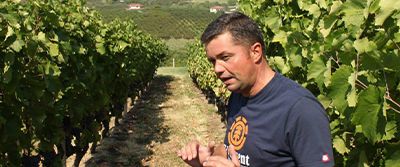 Domaine Karydas