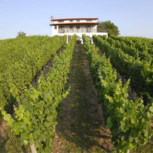 Domaine Karydas