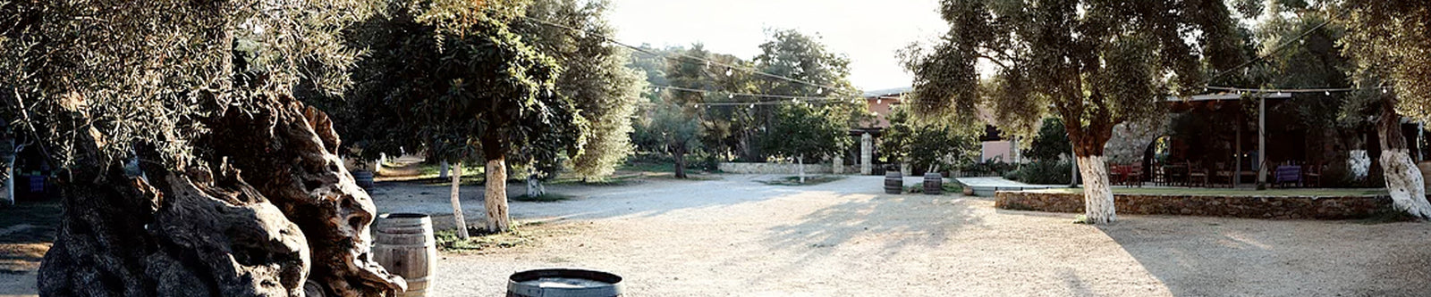 Manousakis Winery