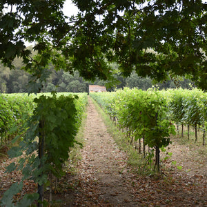 Parparoussis Winery