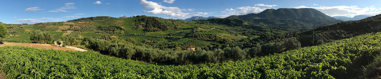 Rouvalis Winery