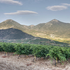 Domaine Skouras
