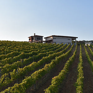 Akrathos Newlands Winery