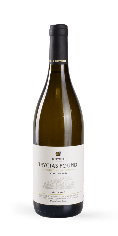src:https://www.mygreekwine.de/media/7e/04/d1/1605882067/trygias-foundi-2017_etikett-vorne.png
