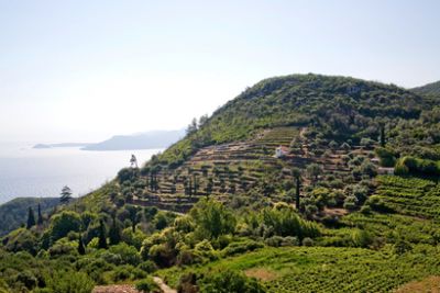 UWC Samos