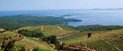 Domaine Porto Carras
