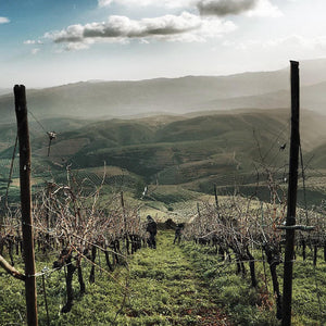 Manousakis Winery