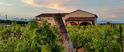 Charalaboglou Wines